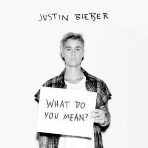What Do You Mean? - Single