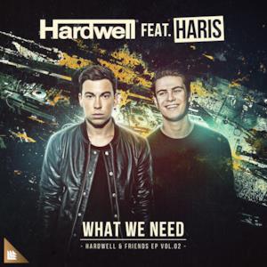 What We Need (feat. Haris) - Single
