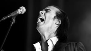 Nick Cave