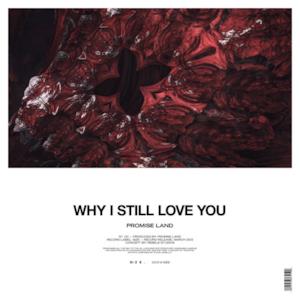 Why I Still Love You - Single