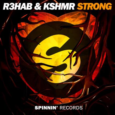 Strong (Extended Mix) - Single
