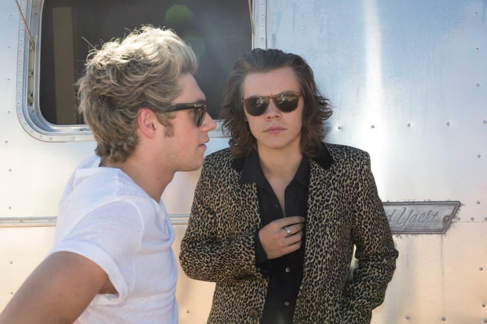 Niall Horan e Harry Styles con gli occhiali scuri