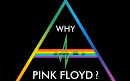 ecco pink floyd