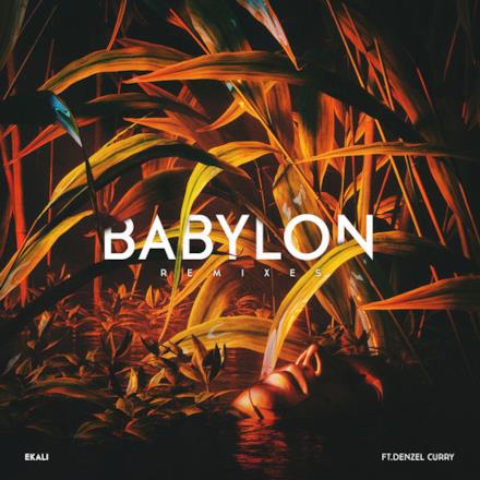 Babylon (feat. Denzel Curry) [Remixes] - Single