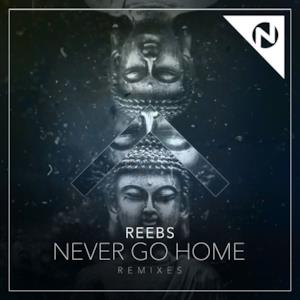 Never Go Home (Remixes) [feat. Nomi] - Single