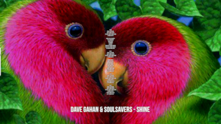 Dave Gahan & Soulsavers: le migliori frasi dei testi delle canzoni