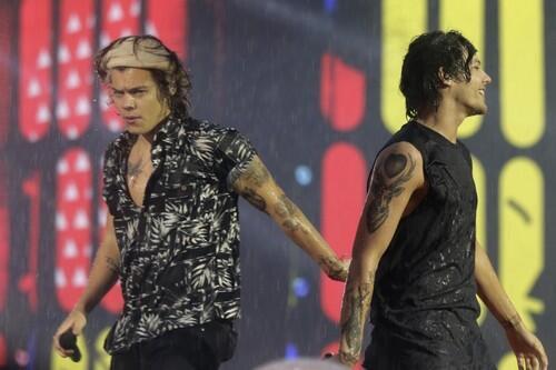 Harry Styles e Louis Tomlinson al concerto di Torino dei One Direction