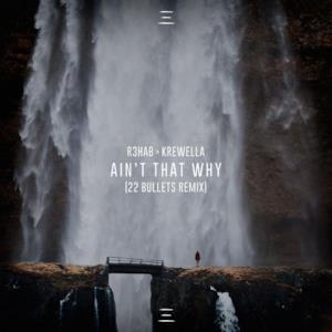 Ain't That Why (22 Bullets Remix) - Single