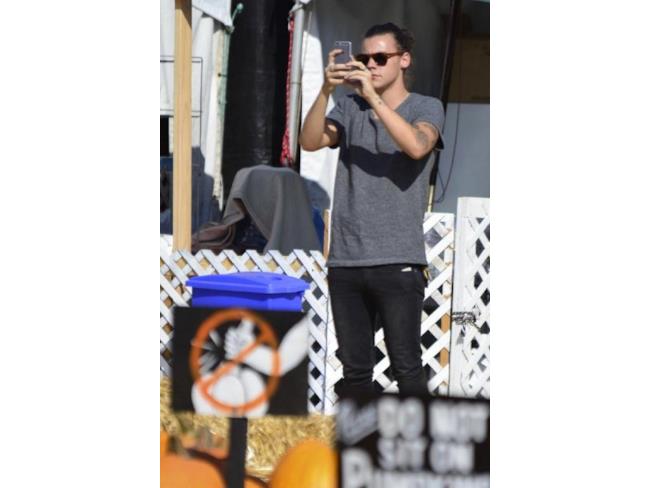 Harry Styles scatta una foto alle zucche con lo smartphone
