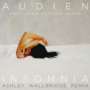 Insomnia (feat. Parson James) [Ashley Wallbridge Remix] - Single