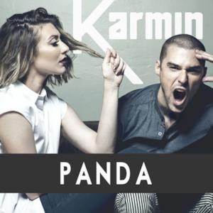 Panda (Remix) - Single