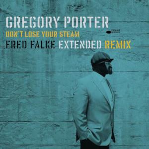 Don't Lose Your Steam (Fred Falke Extended Remix) - Single