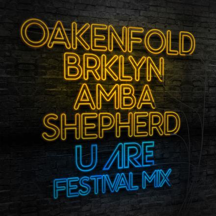 U Are (Festival Mix) [feat. BRKLYN & Amba Shepherd] - Single