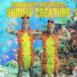 Shrimp Creature (feat. Nick Colletti) - Single