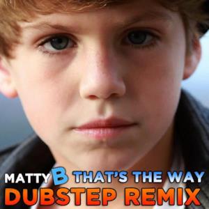 That's the Way (Dubstep Remix) - Single