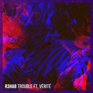 Trouble (feat. Vérité) - Single