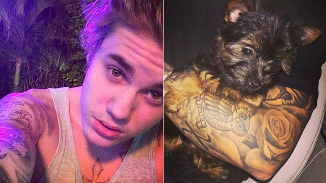 Justin Bieber e il suo nuovo cane Esther