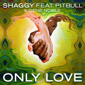 Only Love (feat. Pitbull & Gene Noble) - Single