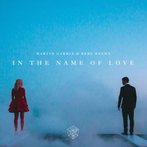 In the Name of Love - Single