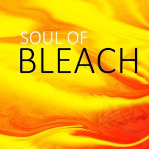 Soul of Bleach