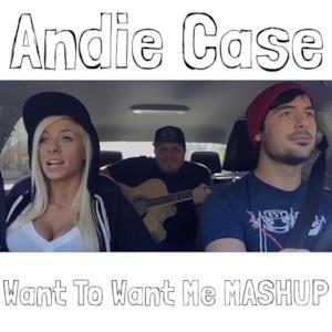 Want To Want Me / I Want You To Want Me Mashup - Single