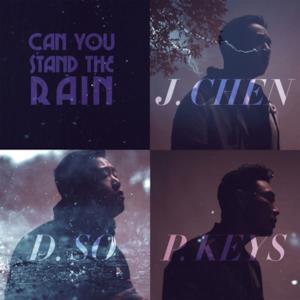 Can You Stand the Rain - Single