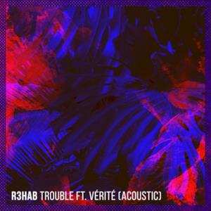 Trouble (feat. VÉRITÉ) [Acoustic] - Single