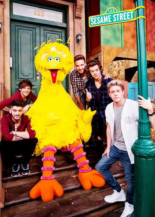 I One Direction appaiono a Sesame Street e scatta il delirio