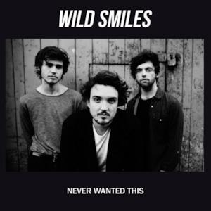 Never Wanted This - Single