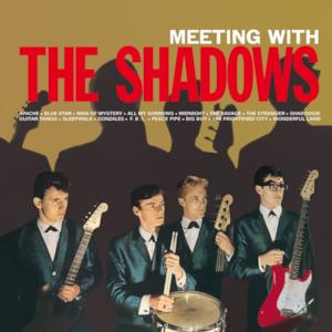 Meeting With the Shadows