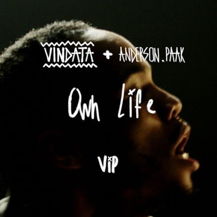 Own Life (feat. Anderson .Paak) [VIP Mix] - Single