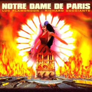 Notre Dame de Paris, acte 2 (live au Palais des Congrès)