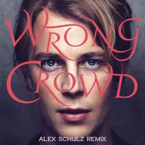 Wrong Crowd (Alex Schulz Remix) - Single