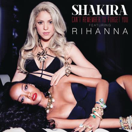 Can't Remember To Forget You (feat. Rihanna) - Single