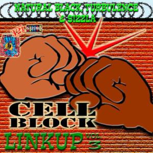 Cell Block Linkup, Vol. 3