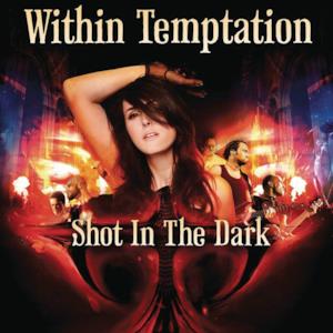 Shot In the Dark (Radio Edit) - Single