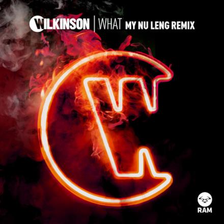 What (My Nu Leng Remix) - Single