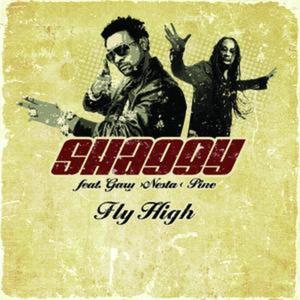 Fly High (feat. Gary Nesta Pine) - EP