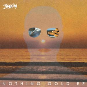 Nothing Gold (Remixes)