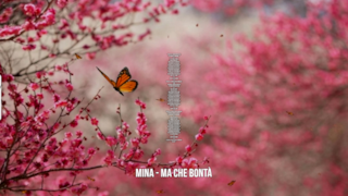 Mina: le migliori frasi dei testi delle canzoni