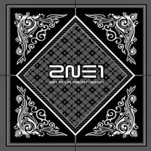 2NE1 1st Live Concert [Nolza!]