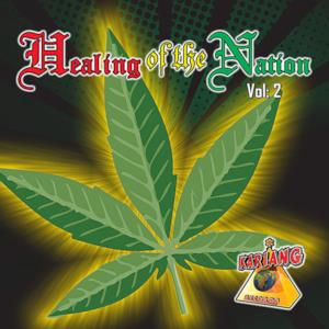 Healing of the Nation - Volume 2