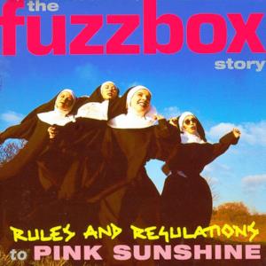 Rules and Regulations To Pink Sunshine: The Fuzzbox Story