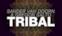 Tribal (Extended Mix) - Single