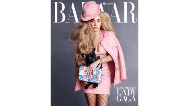 Lady Gaga in completo rosa e il cane Asia