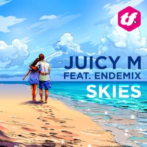 Skies (feat. Endemix) - Single
