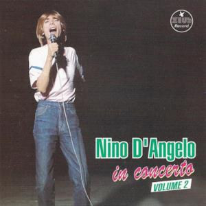 Nino D'Angelo in concerto, vol. 2 (The Best of Nino D'Angelo Live Collection)