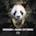 Panda (IVY Remix) - Single
