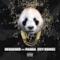 Panda (IVY Remix) - Single