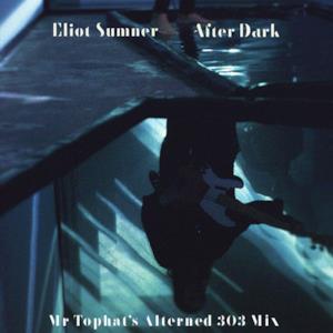 After Dark (Mr. Tophat's Alterned 303 Mix) - EP